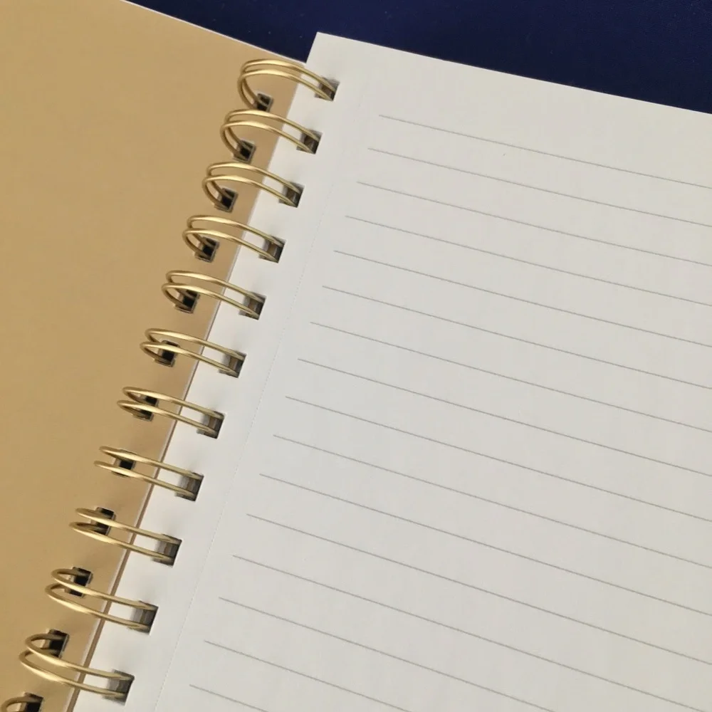 Celestial Galaxy Moon Spiral Notebook